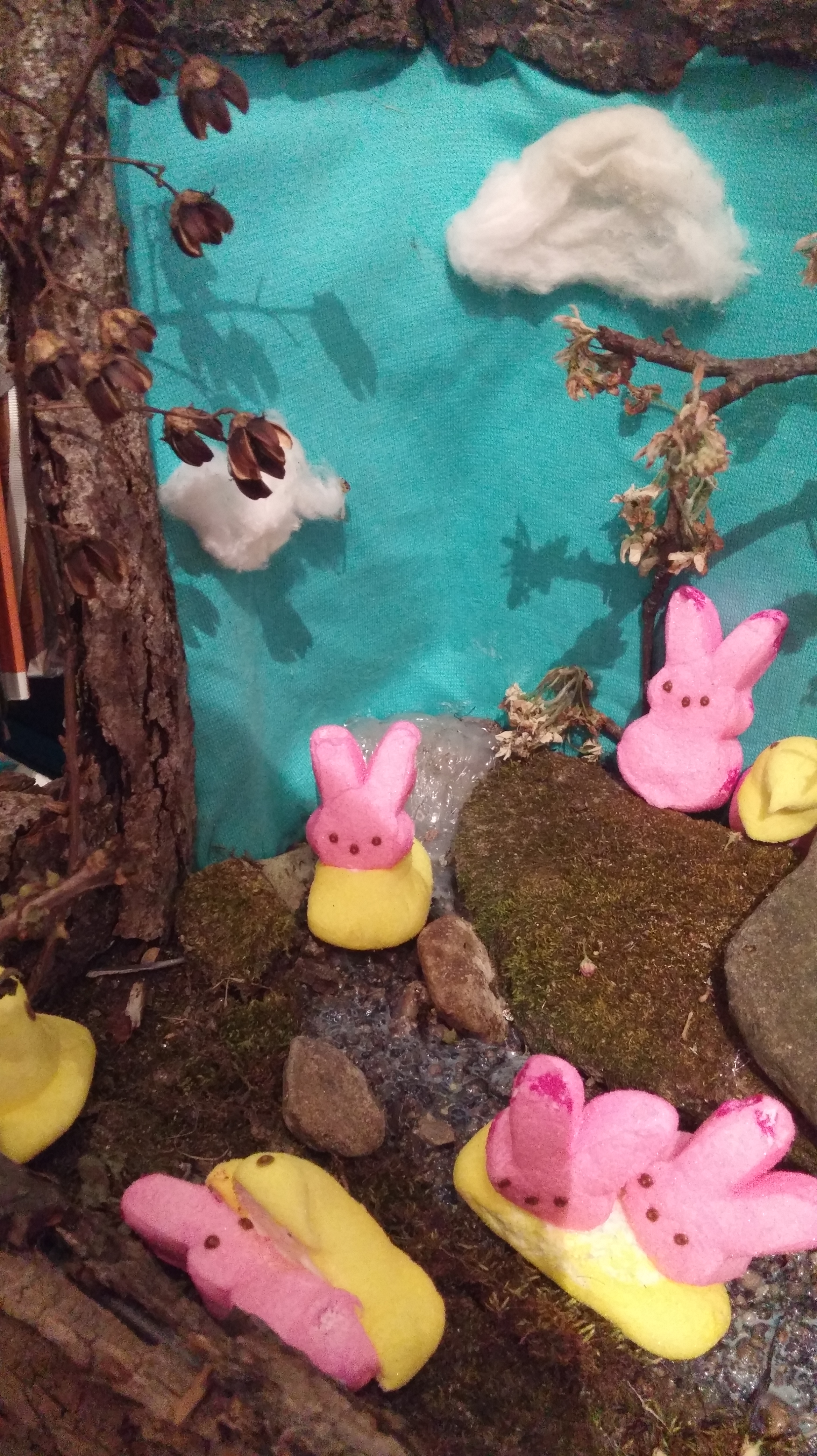Wild peeps detail.jpg