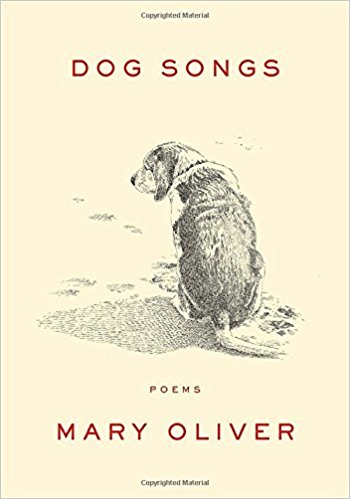 14 dog song.jpg