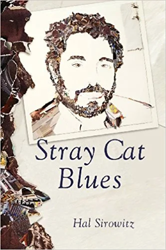 7 stray cat.jpg