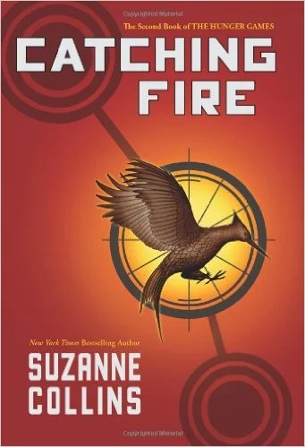 20 catching fire.jpg
