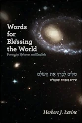  Words for Blessing the World resonates with traditional Jewish liturgy even as it observes the world through a distinctly modern lens. Words for Blessing the World deals with the theological, the political, and the personal and is presented in both Hebrew and English, anchoring the collection deep within the Jewish tradition. $10.00