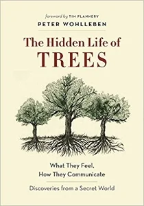 hidden life.jpg