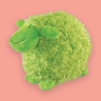 Where is the Green Sheep? is a sweet board book from Mem Fox for $6.99 The matching soft green sheep is $10. Get both for special present!