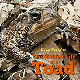 The Hidden Life of a Toad, a stunning nonfiction book photographed in Carpenters Woods and the Wissahickon. $17.99