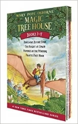 Magic Tree House Boxed Sets of 4 titles (cause kids can't read just one!) $23.96