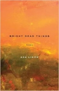A book of bravado and introspection, of 21st century feminist swagger and harrowing terror and loss, this fourth collection considers how we build our identities out of place and human contact. “I am beautiful. I am full of love. I am dying,” the poet writes. $16