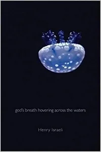 god’s breath hovering across the waters begins with the story of Arthur Penzias’s discovery of the echo of the big bang through a cryogenic microwave receiver and from there explodes into a meditation on the author’s mother’s untimely and tragic death. Memories, history, war, science, horror movies, space exploration, and the RCA dog are just some of the subjects that expand and contract, intersect and repel, throughout the arc of the collection. $15.95