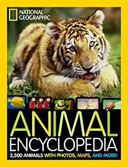 91LWADS1nDL._AC_UY327_QL65_.jpg
