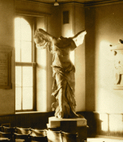 winged-in-old-school-copy-e1574268886449.gif