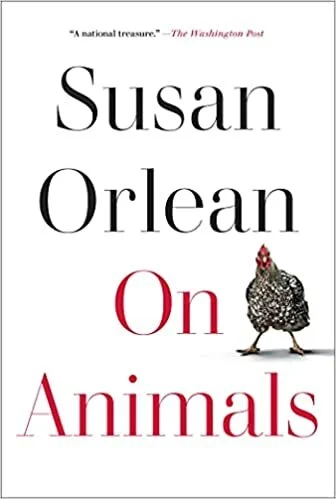 on animals.jpg