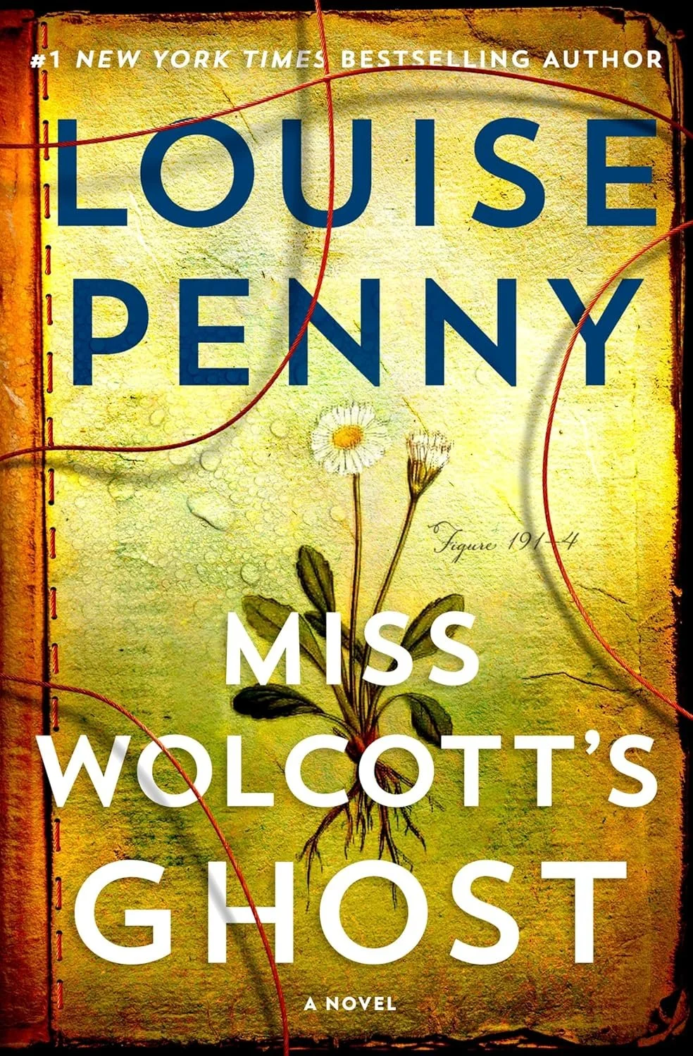 Louise Penny, Miss Wolcott's Ghost (Gamache #21) 10/20/26