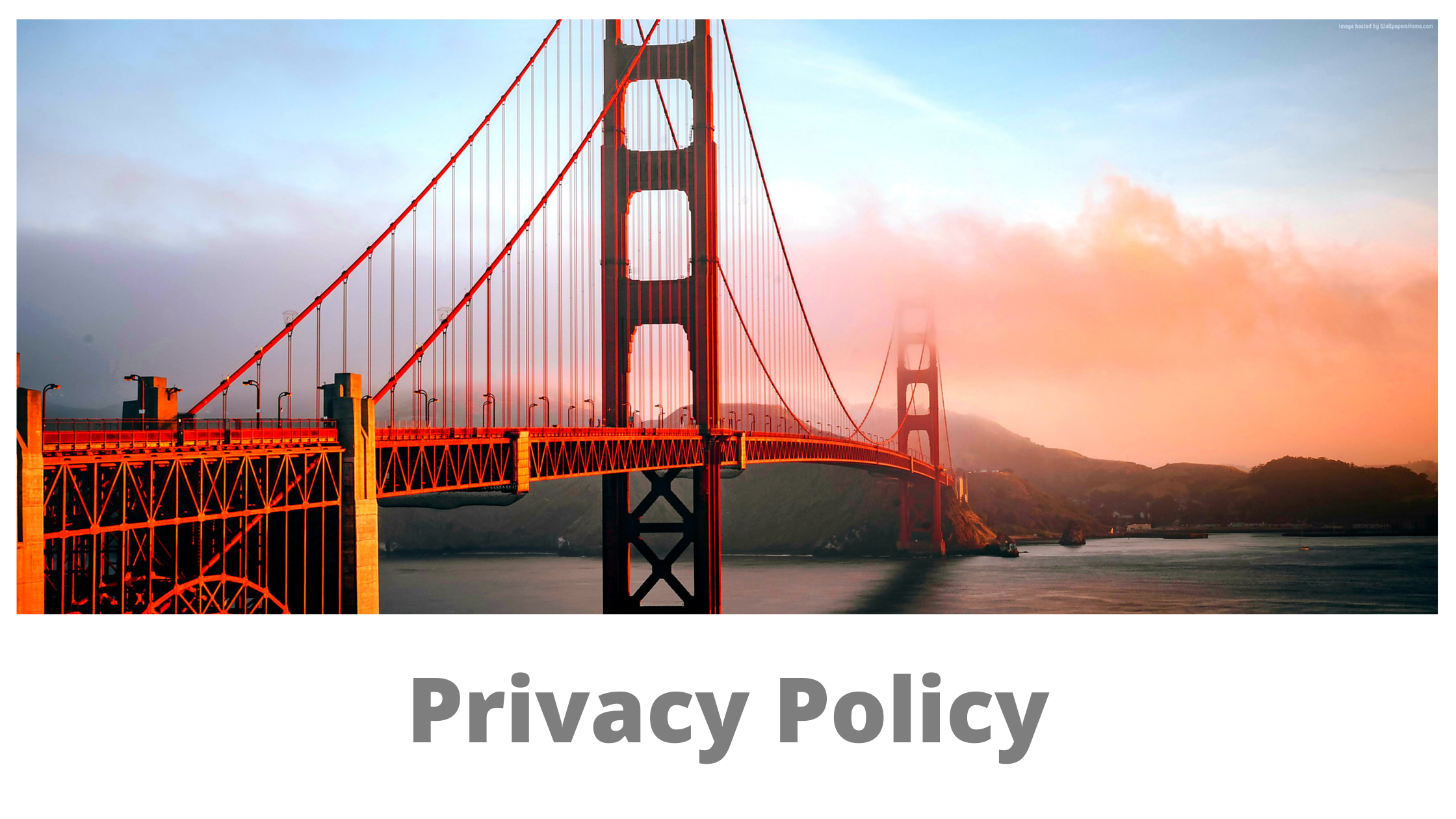 BBwax Banner Privacy Policy.png