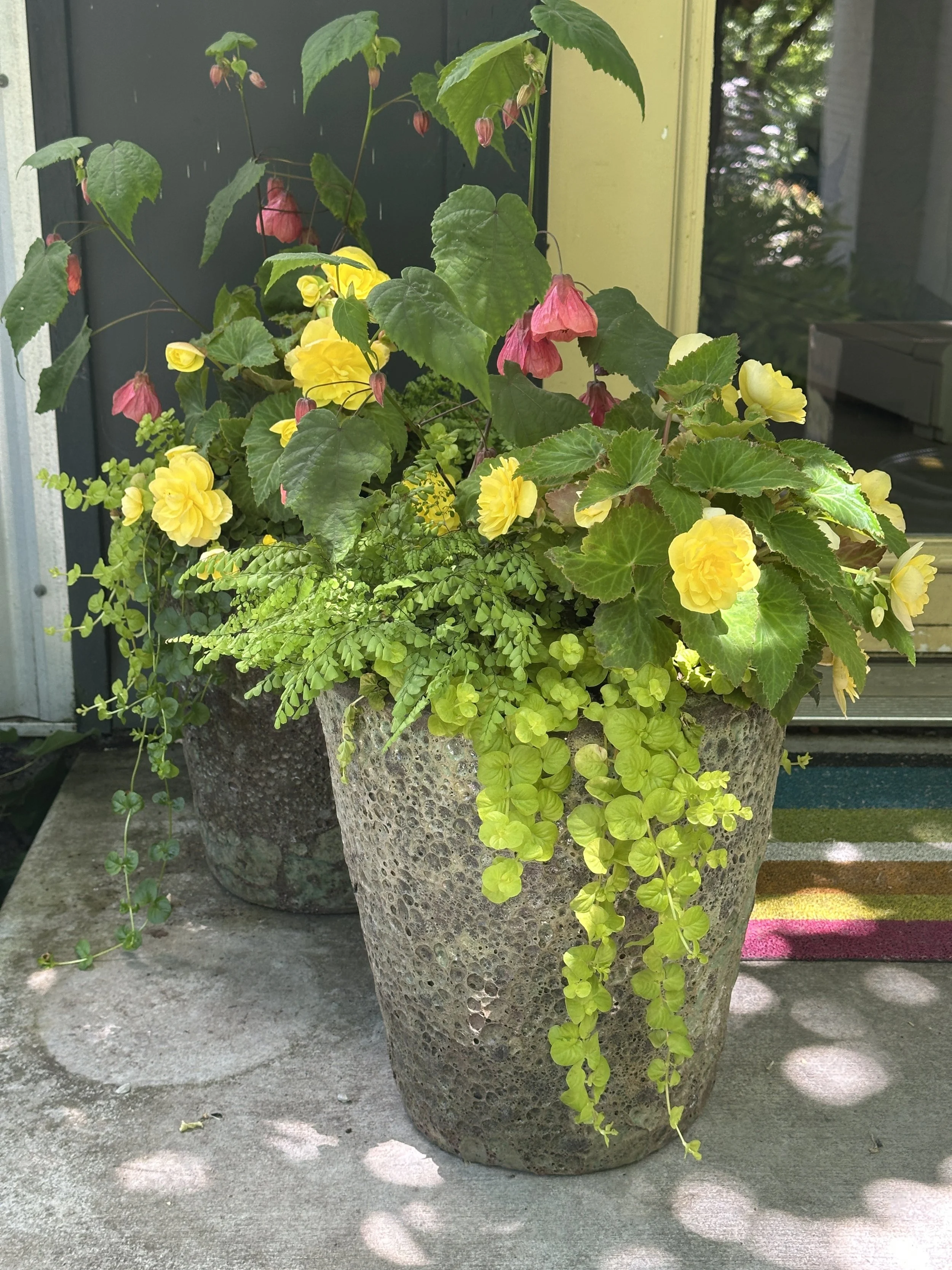 IMG_9225.jpeg