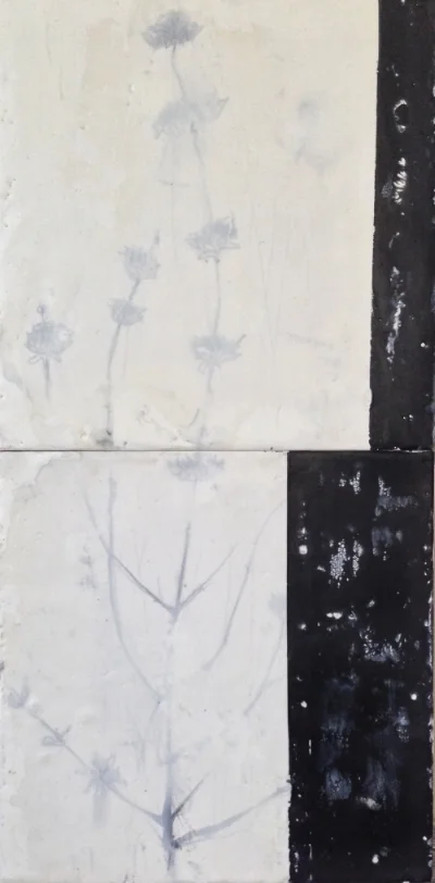 Sage Encaustic, oil + graphite on panel 12"X24" 2012