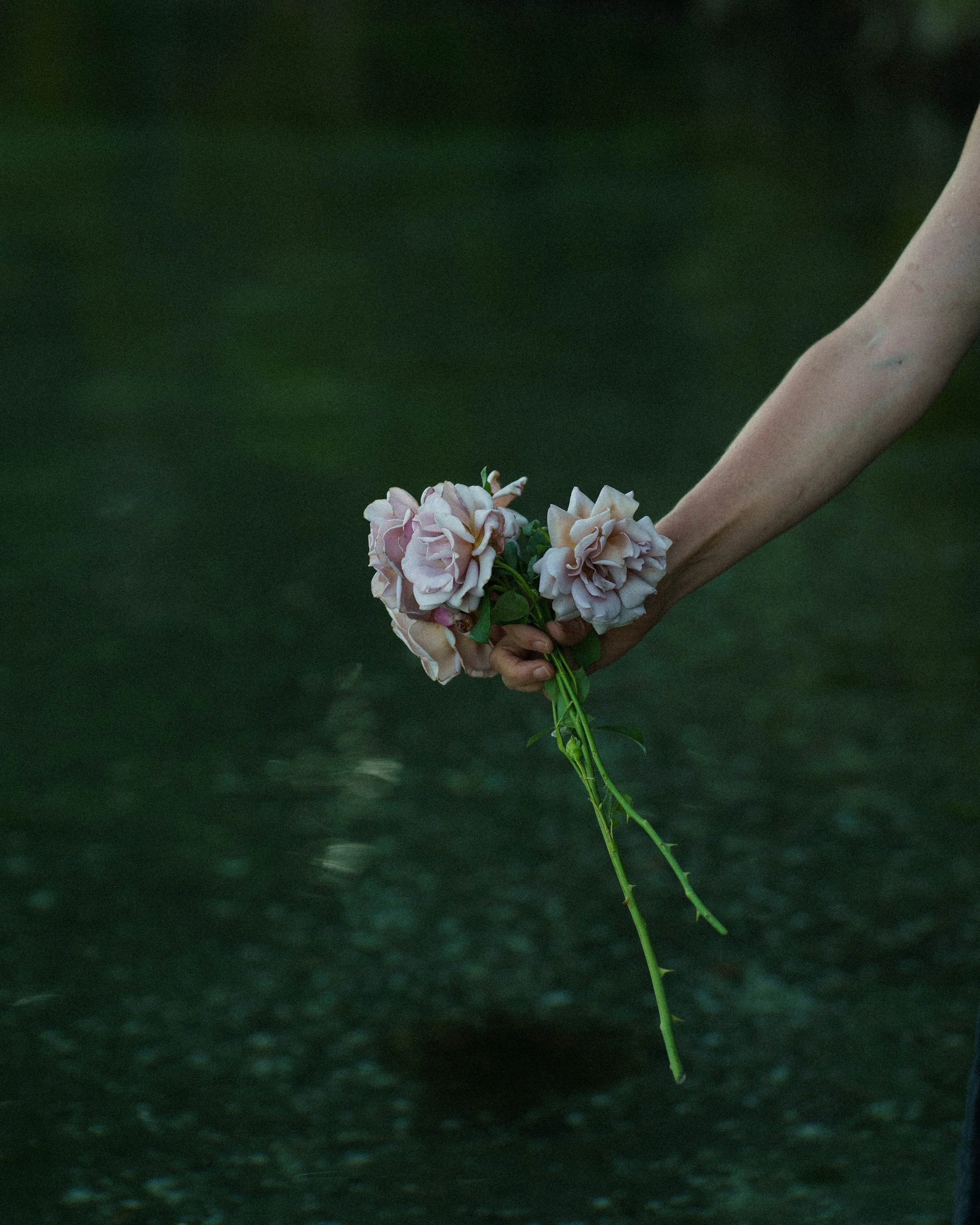 _DSC9298.jpeg