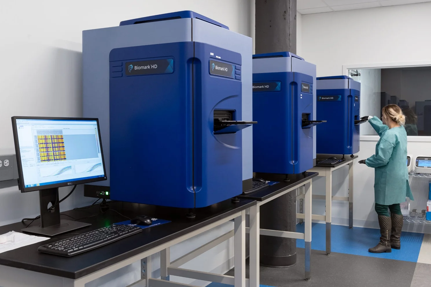 Lab