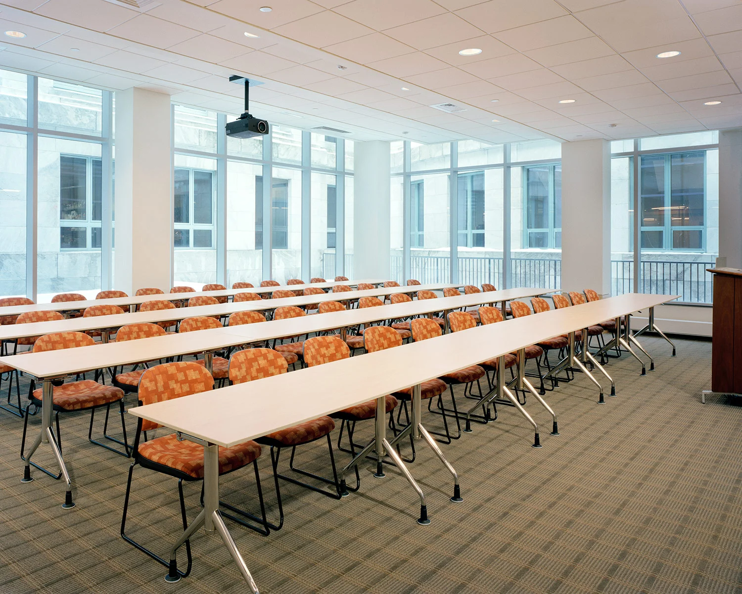 Harvard Medical School, Modell Center for Immunology