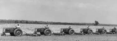 Imprisoned men work on Caledonia Prison Farm during the 1950s (North Carolina Prison Enterprises)
