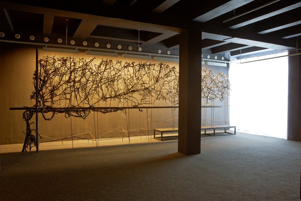 Finding 2014, ivy, reinforcing bar, metal, 713 x 285 x 70 cm, in Diorama, Trafó Gallery Budapest (H) 