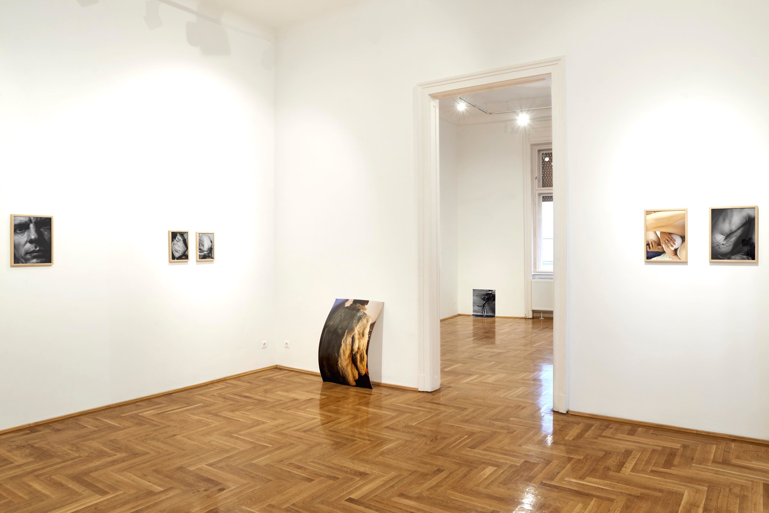 exhibition view, photo: Imre Kiss