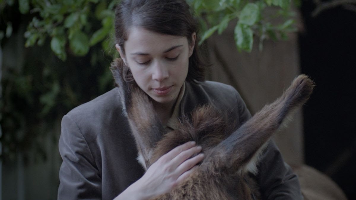 Sarah Dobai: The Donkey Field, film 21', 2021 (állókép a filmből / still from the film)