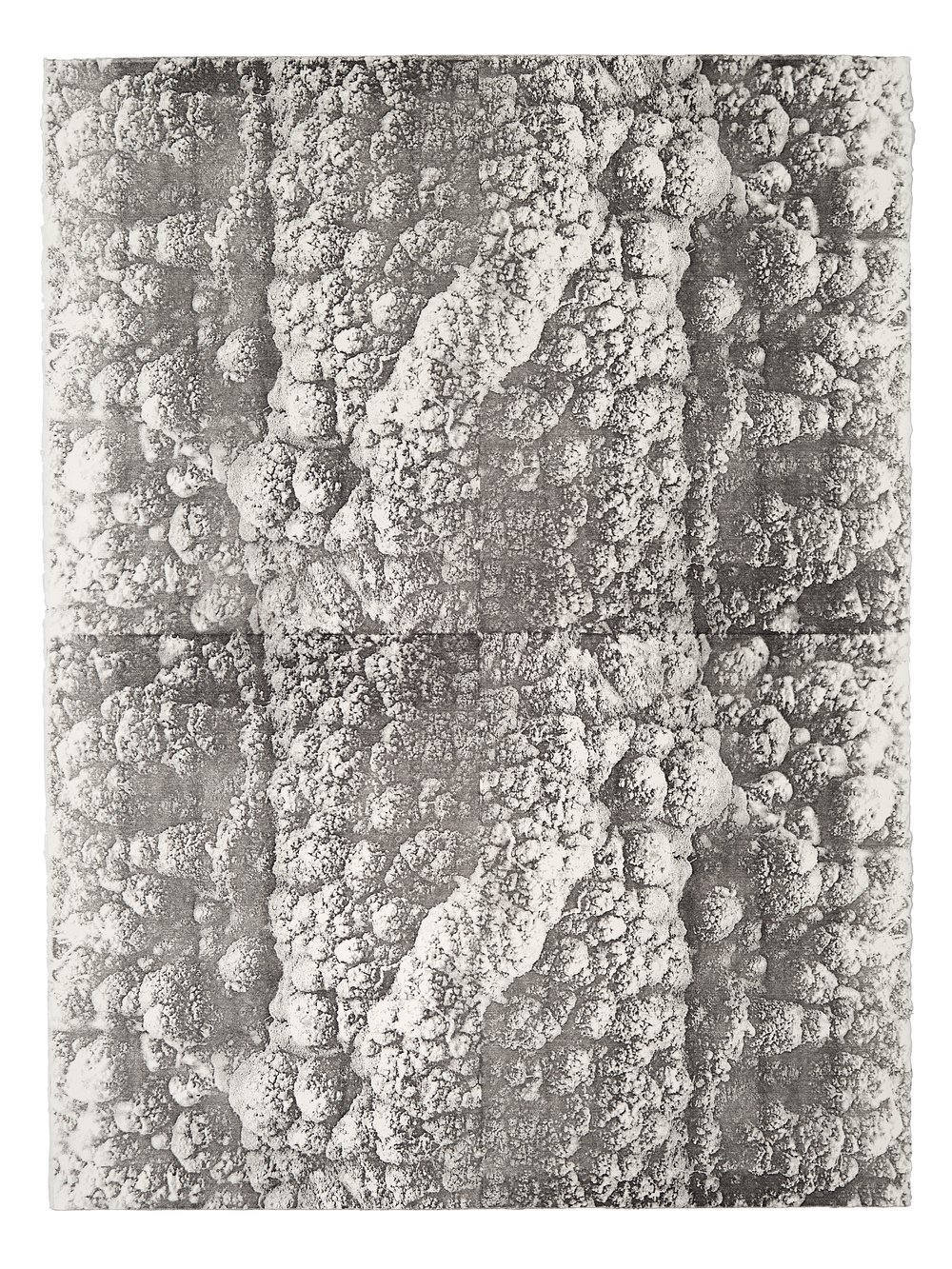 Svätopluk Mikyta: Antiorganic surface II., 2017, aceton print, size: 76,5 x 57,5