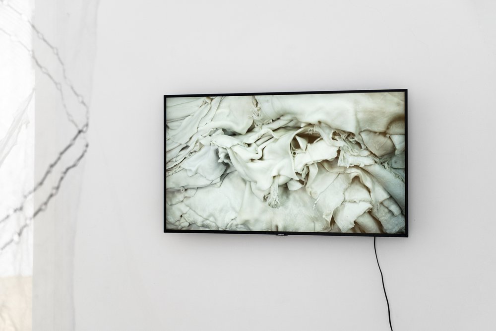 Lukáš Hofmann: Skin Come Leather, 2019, digital video, 22'25''