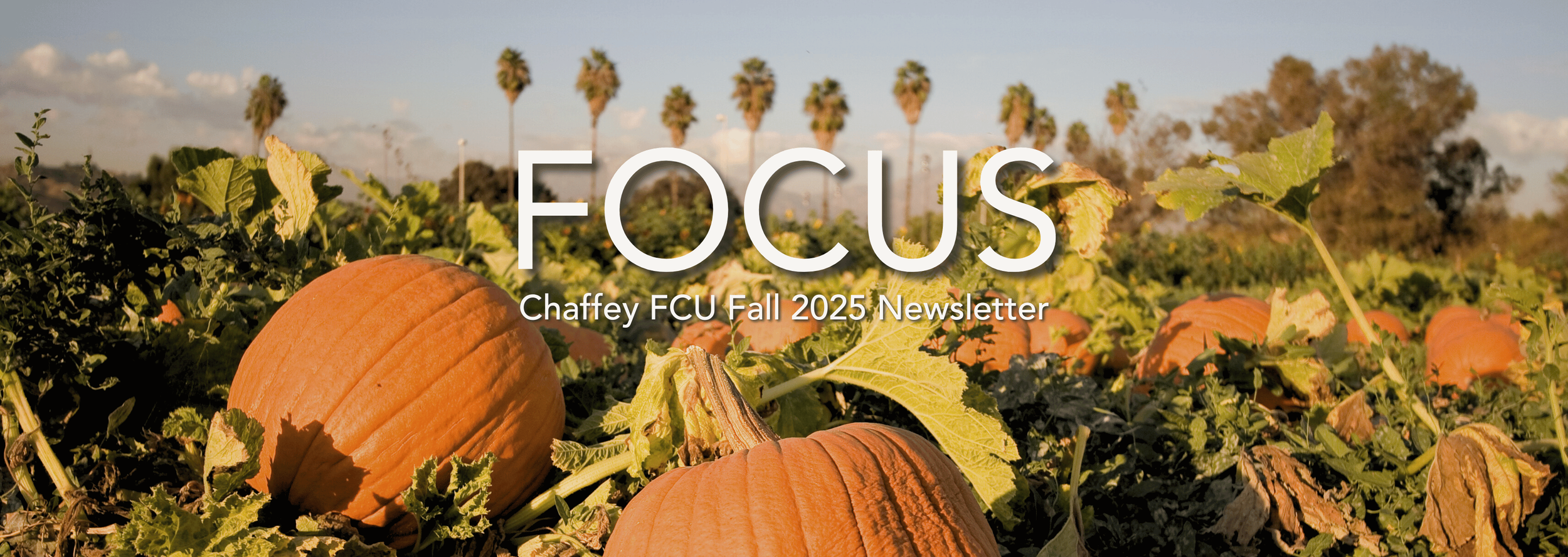 Community Awards, Spooky Fraud Prevention, and more!