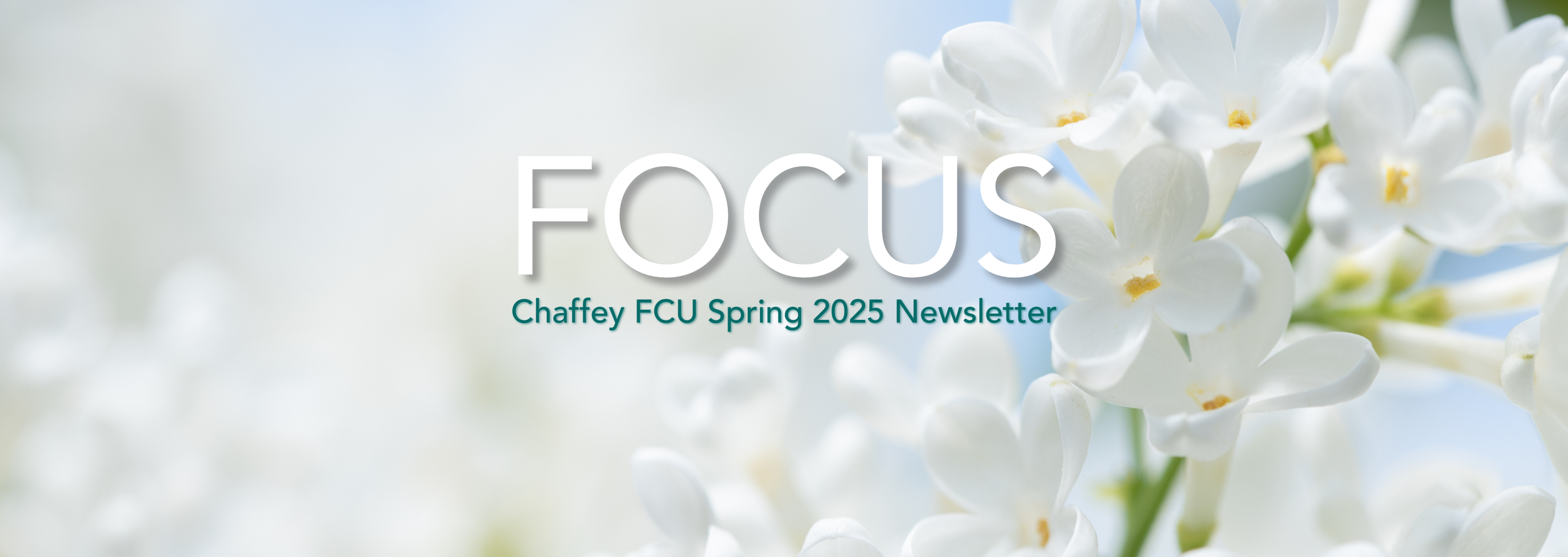 Spring 2025 newsletter header web.png