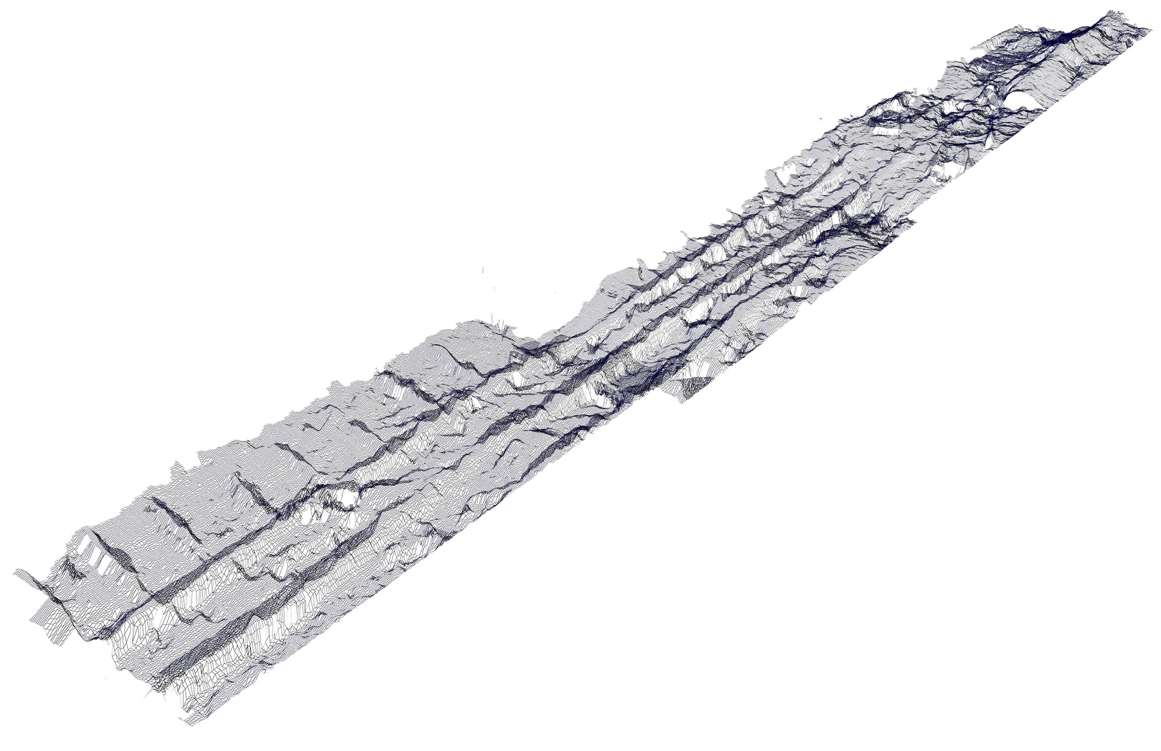 Untitled linear land study (tyre track)