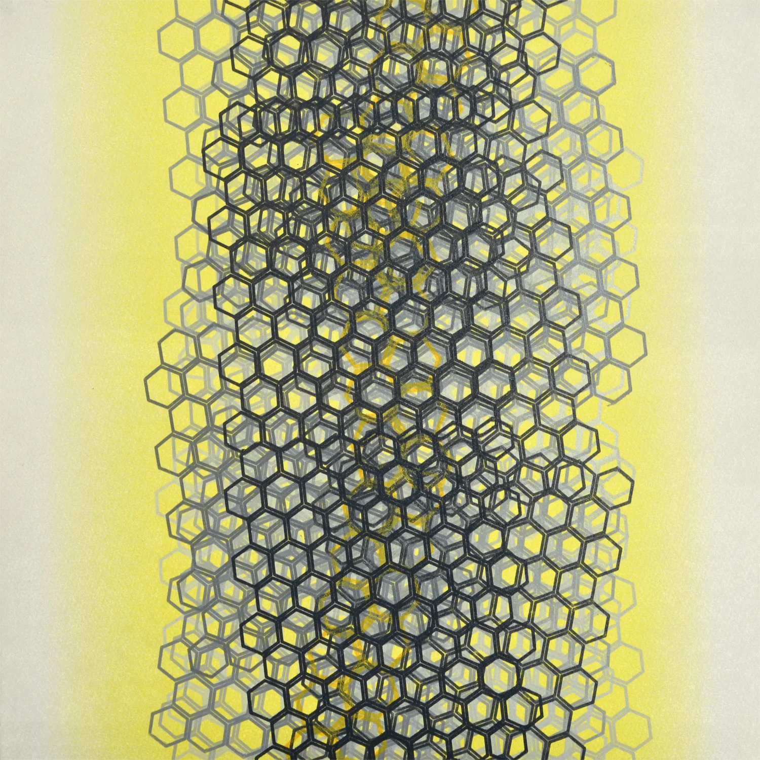 Morphology