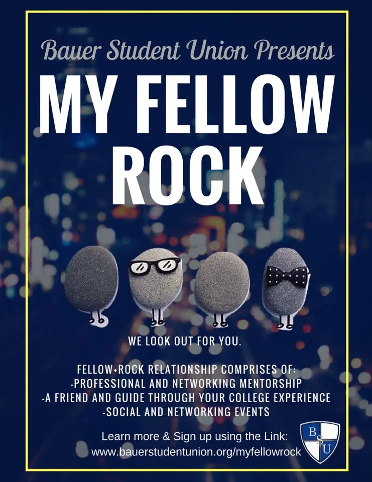 my felllow rock.jpg