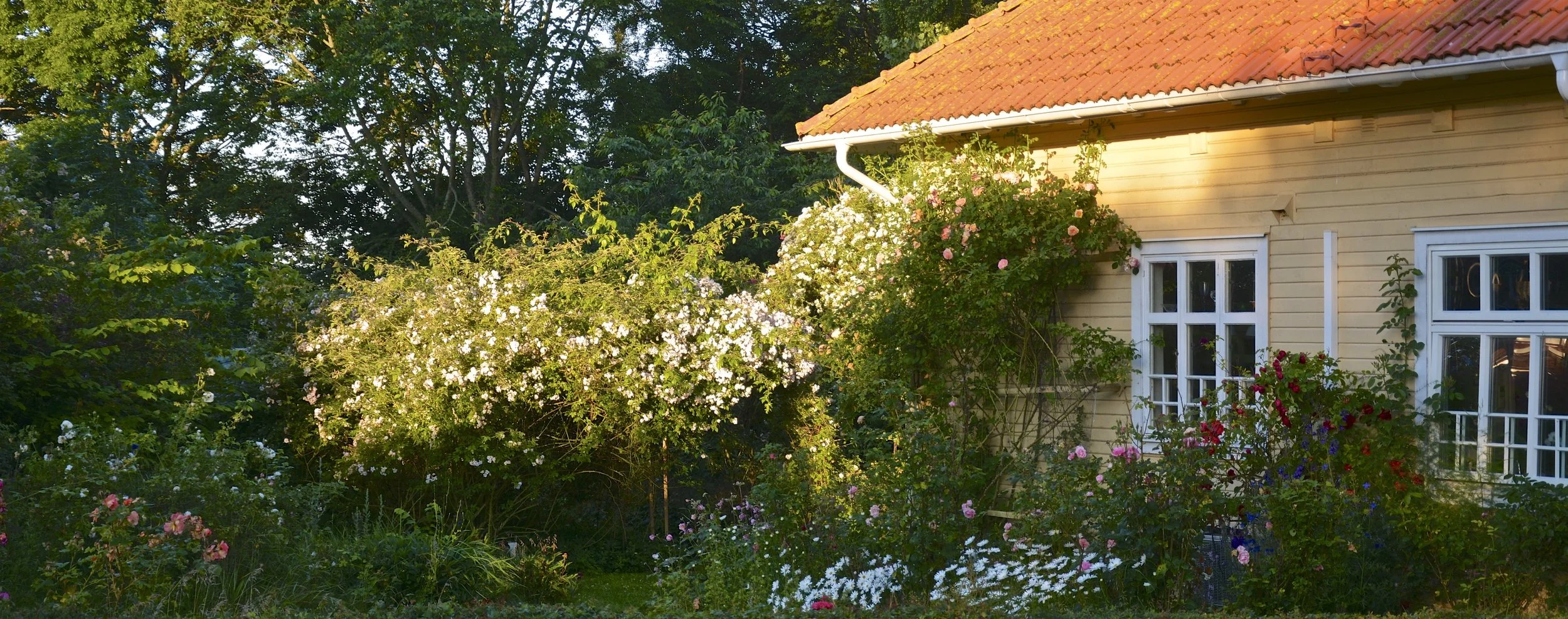 JB0_9420.jpg
