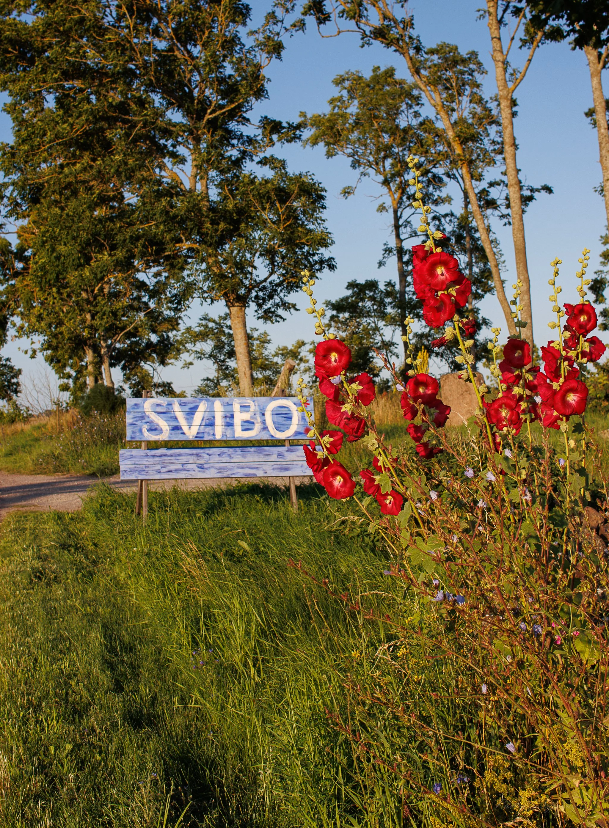 Svibo 2024-48.jpg
