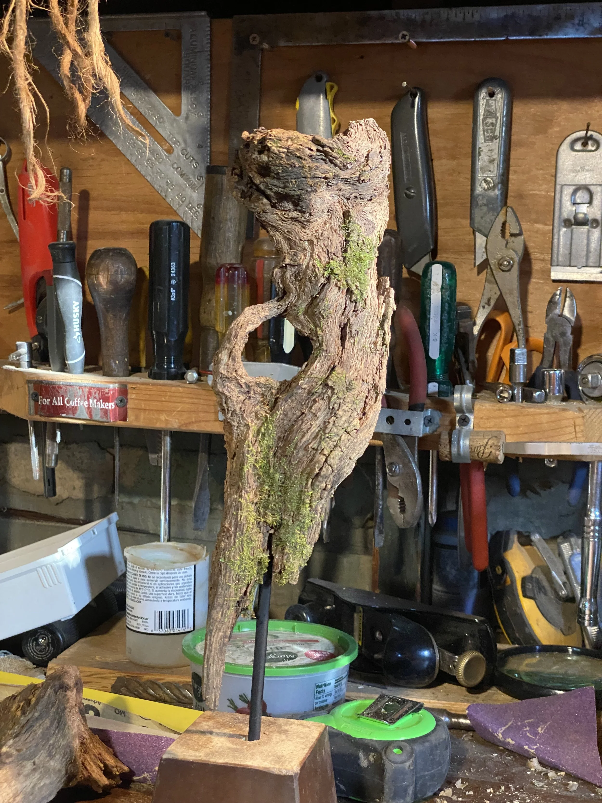 Natural Objects Vlog Idea Insert.   