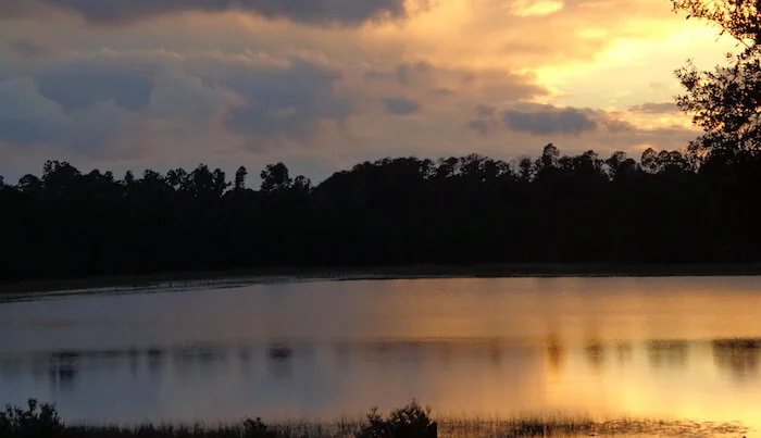 Veteran Testimonials