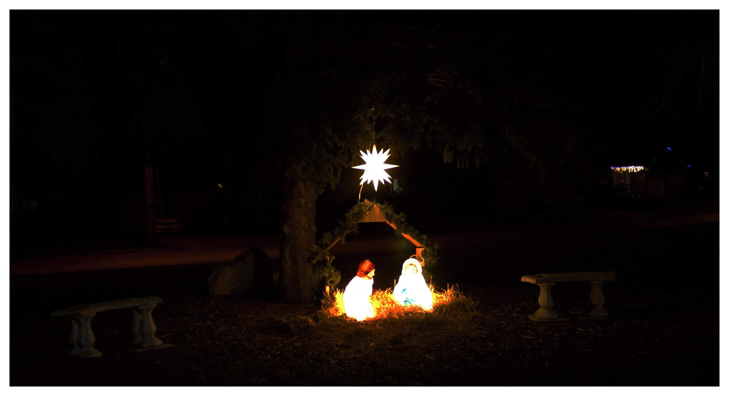 IMG_8046 copy.jpg
