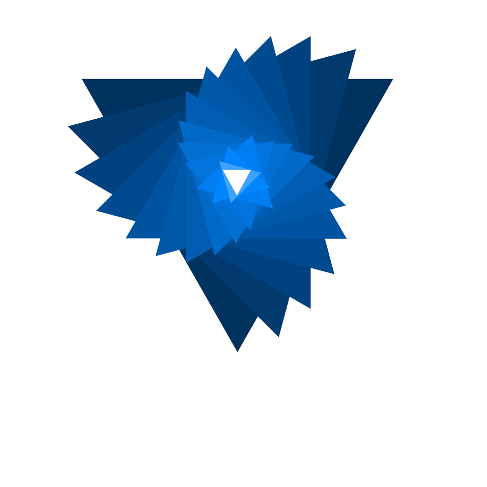 Beyond Architecture | Custom House Design Studio