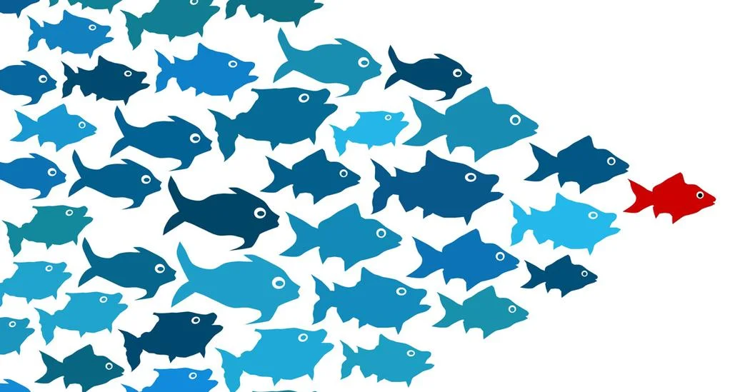 Understanding the Leadership Trifecta