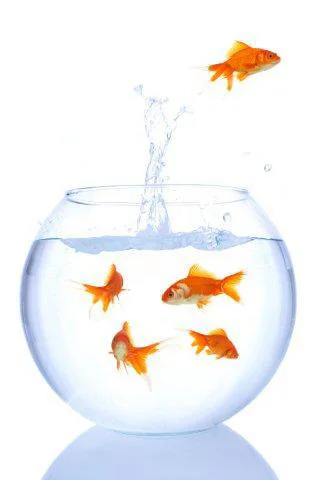 fishbowl.jpg