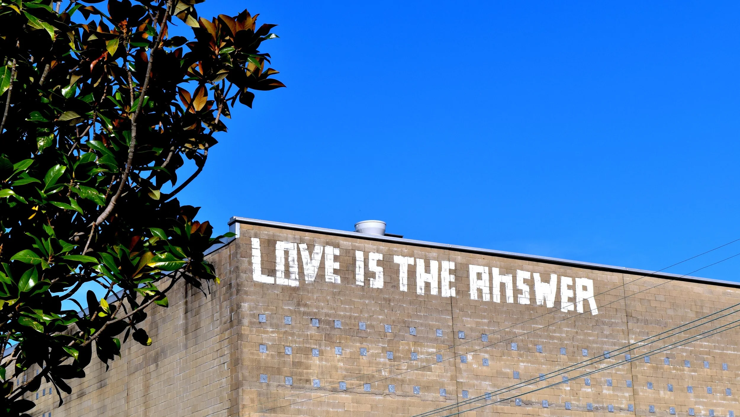 No Matter the Question, the Answer is Love.
