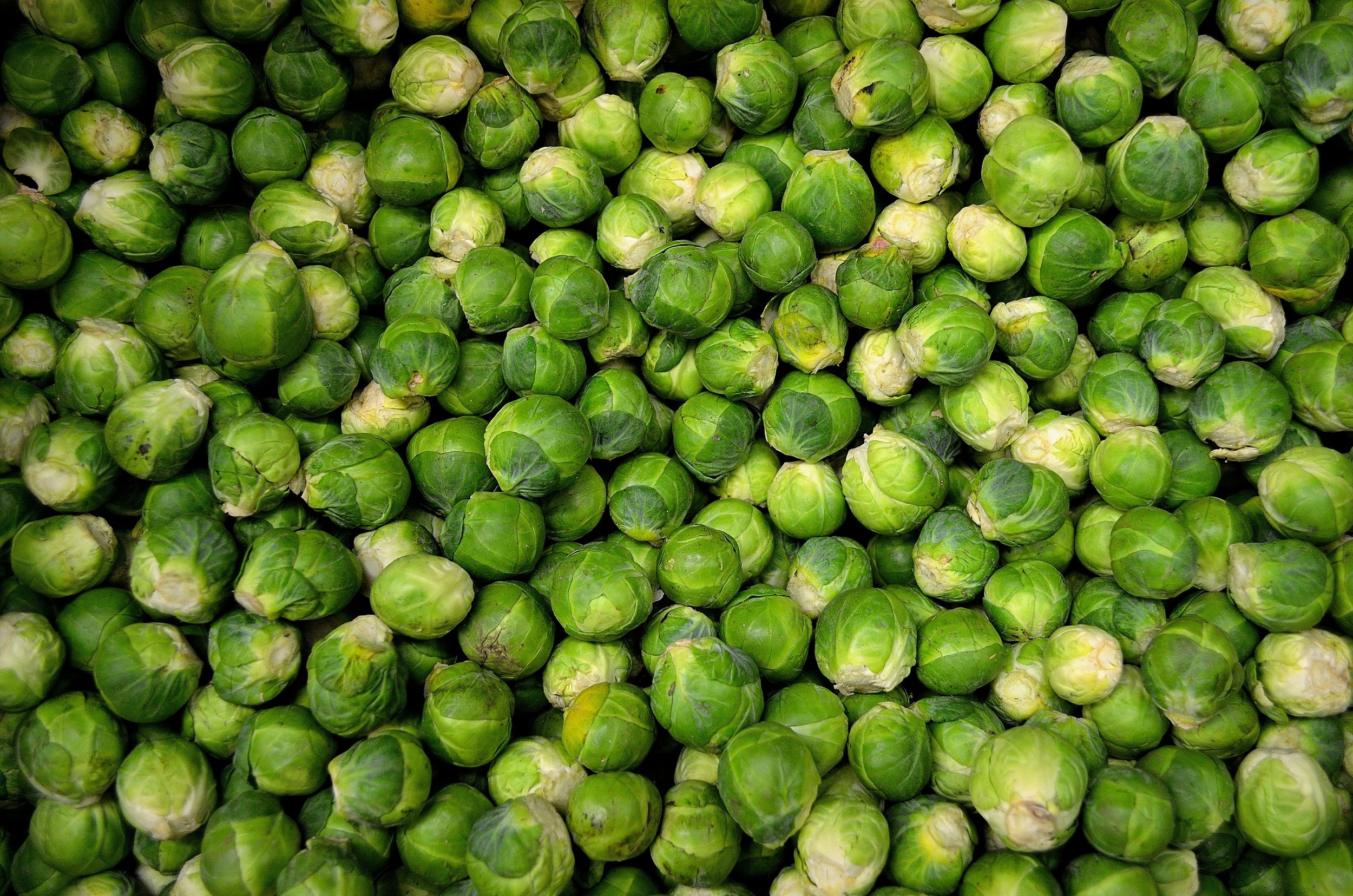 brussels-sprouts-sprouts-cabbage-grocery-41171.jpeg