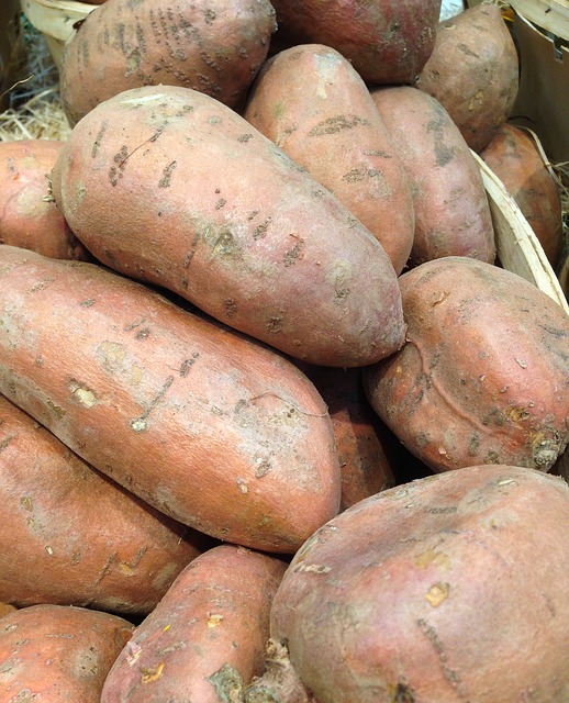 sweet potatoes2.jpg