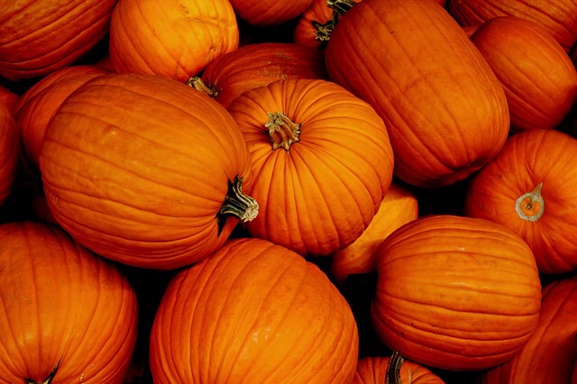 5TAAL 1117 pumpkins2.jpg