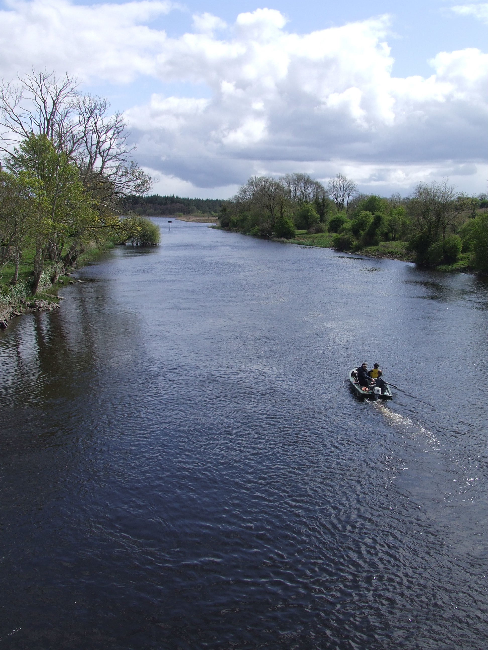 114 River_Shannon_from_Drumsna_bridge.jpg