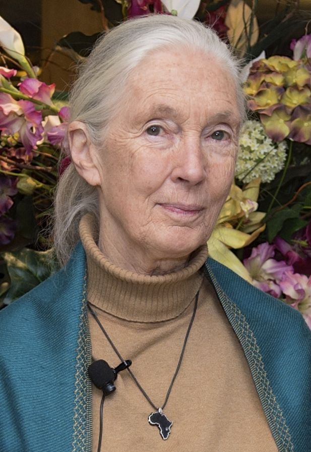 116 Jane_Goodall_2015.jpg