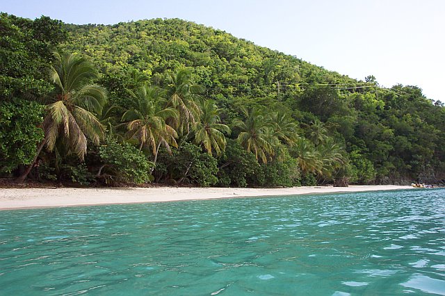 115 JQ5 Gibney_Beach USVI.jpg