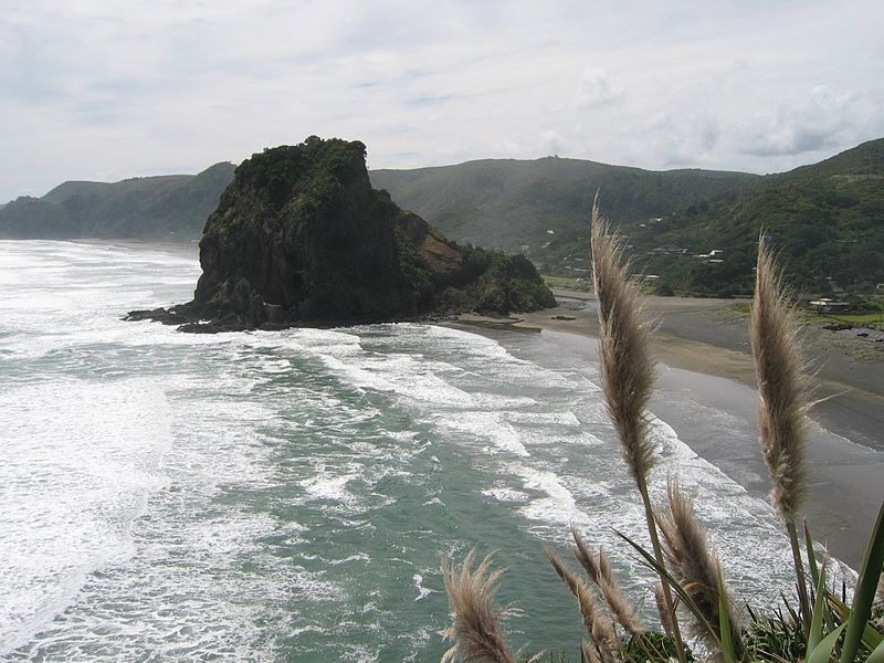 115JQ32 Piha.jpg