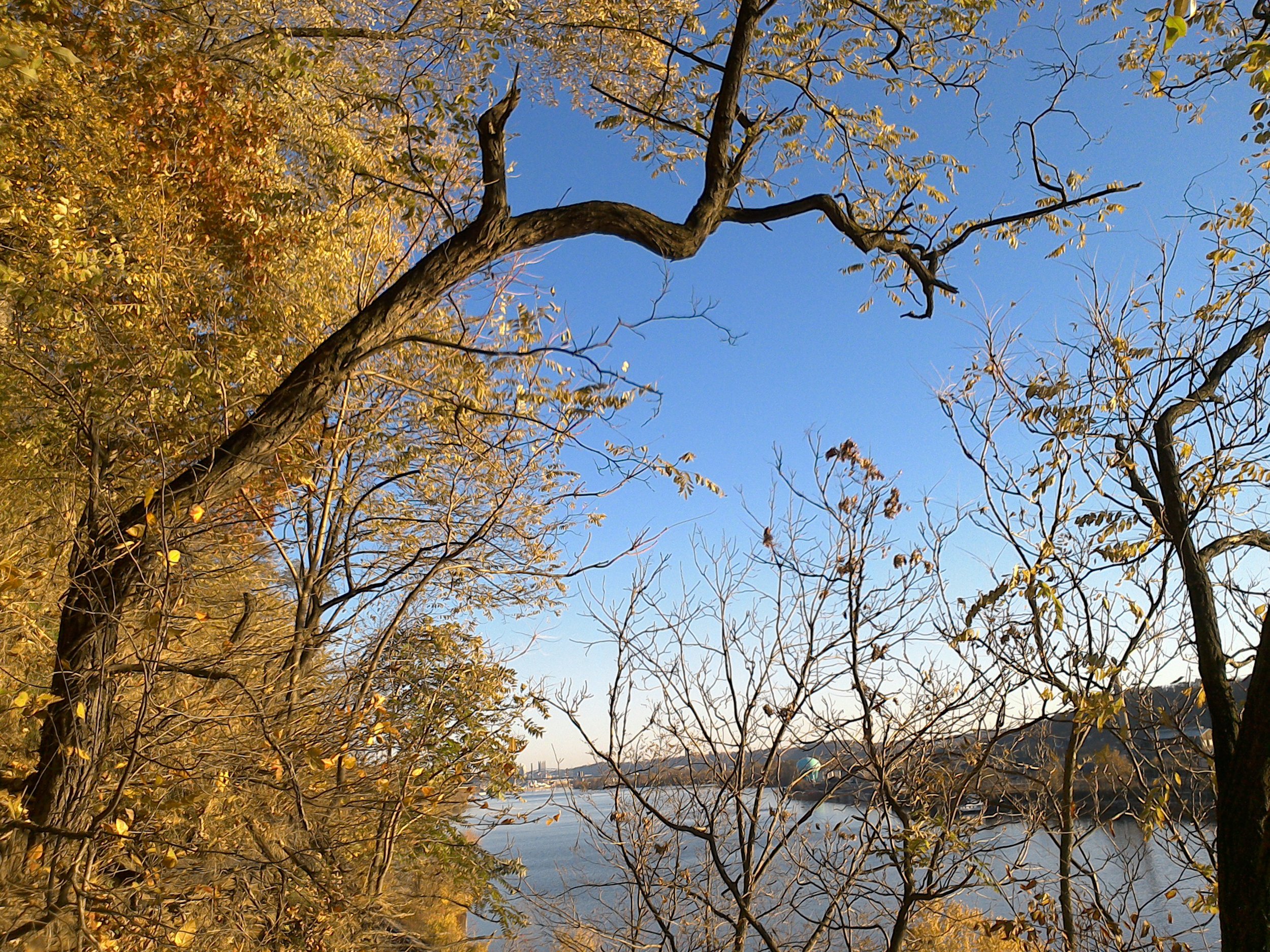 104 OB5 ohio river near Pittsburgh showing much still undeveloped forest public domain.jpg