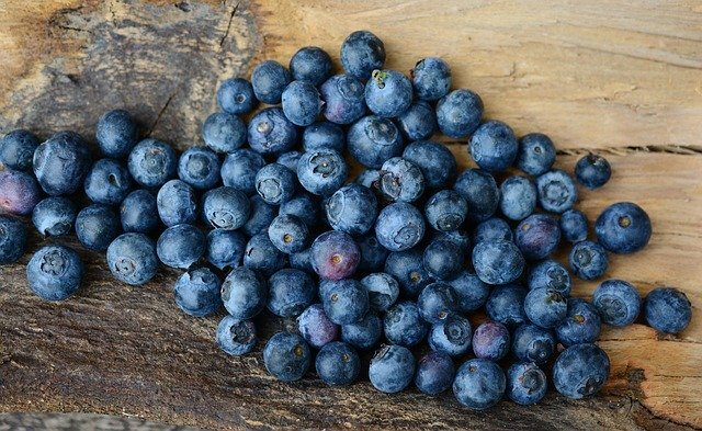blueberries-2270379_640.jpg